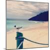 Island Vacation III-Susan Bryant-Mounted Photographic Print