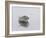 Island View-Zhen-Huan Lu-Framed Giclee Print