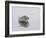 Island View-Zhen-Huan Lu-Framed Giclee Print