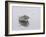 Island View-Zhen-Huan Lu-Framed Giclee Print