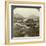 Islands and Upper Lake, Killarney, Ireland-Underwood & Underwood-Framed Photographic Print