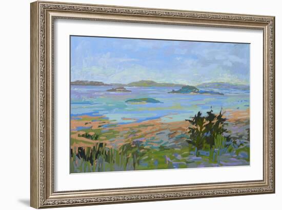 Islands Off the Mainland-Jane Schmidt-Framed Art Print