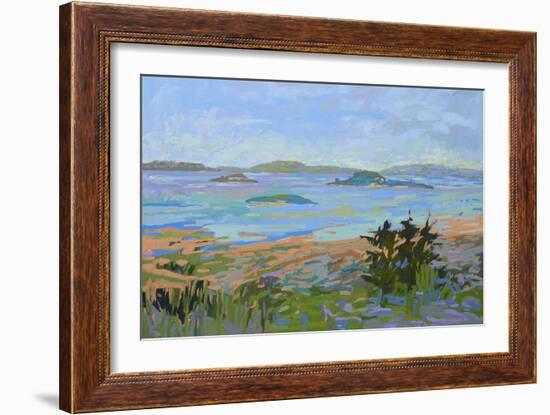 Islands Off the Mainland-Jane Schmidt-Framed Art Print