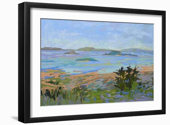 Islands Off the Mainland-Jane Schmidt-Framed Art Print