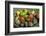 Islas del Rosario, Isla del Encanto, a Tropical Resort, Colombia-Jerry Ginsberg-Framed Photographic Print