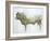 Islay Bull, 2004-Lincoln Seligman-Framed Giclee Print