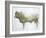 Islay Bull, 2004-Lincoln Seligman-Framed Giclee Print