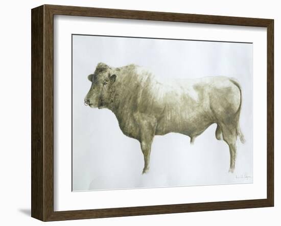 Islay Bull, 2004-Lincoln Seligman-Framed Giclee Print