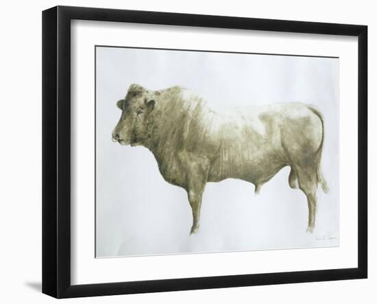 Islay Bull, 2004-Lincoln Seligman-Framed Giclee Print