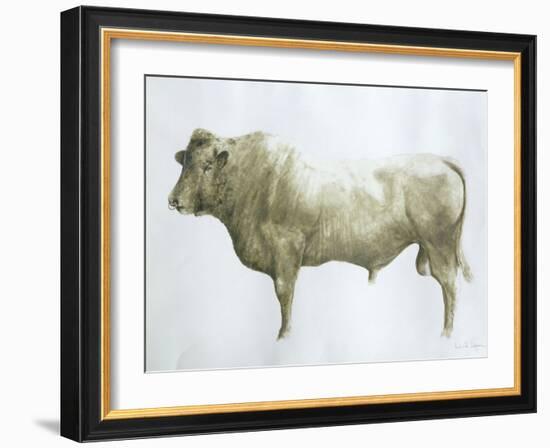 Islay Bull, 2004-Lincoln Seligman-Framed Giclee Print