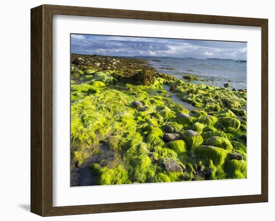 Isle of Lewis, Coast at the Eye Peninsula. Scotland in July-Martin Zwick-Framed Photographic Print