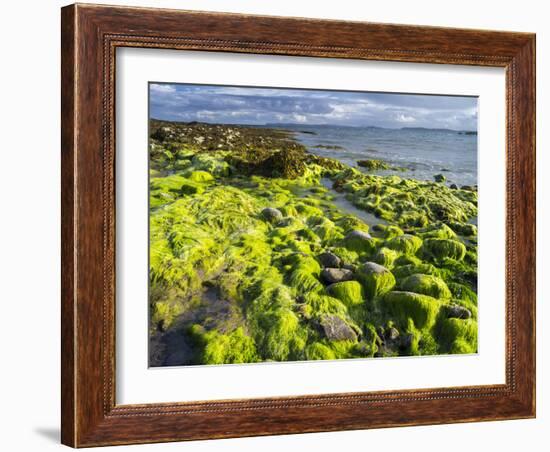 Isle of Lewis, Coast at the Eye Peninsula. Scotland in July-Martin Zwick-Framed Photographic Print