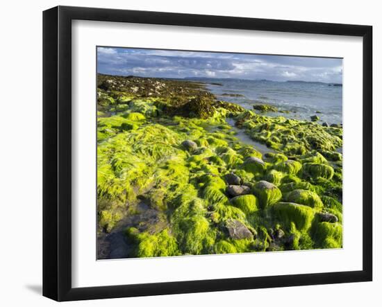 Isle of Lewis, Coast at the Eye Peninsula. Scotland in July-Martin Zwick-Framed Photographic Print