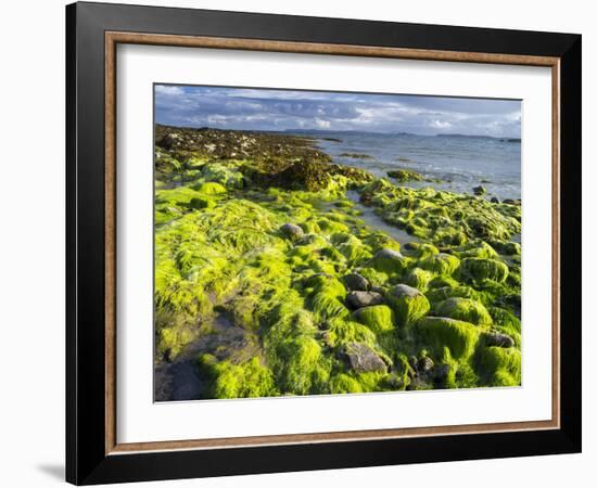 Isle of Lewis, Coast at the Eye Peninsula. Scotland in July-Martin Zwick-Framed Photographic Print