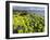 Isle of Lewis, Coast at the Eye Peninsula. Scotland in July-Martin Zwick-Framed Photographic Print