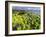 Isle of Lewis, Coast at the Eye Peninsula. Scotland in July-Martin Zwick-Framed Photographic Print