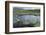 Isle of Lewis, European White Water Lily in Pond. Scotland-Martin Zwick-Framed Photographic Print