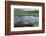 Isle of Lewis, European White Water Lily in Pond. Scotland-Martin Zwick-Framed Photographic Print