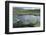 Isle of Lewis, European White Water Lily in Pond. Scotland-Martin Zwick-Framed Photographic Print