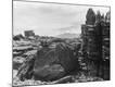 Photographic Print