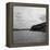 Isle of Soay/Skye, Inner Hebrides. 18/09/1960-Staff-Framed Premier Image Canvas