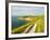 Isle of Wight Coastline-John Harper-Framed Photographic Print