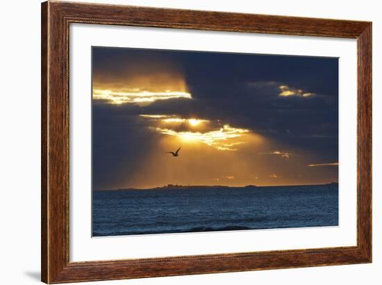 Isles of Shoals as Seen from Rye Harbor SP in Rye, New Hampshire-Jerry & Marcy Monkman-Framed Photographic Print