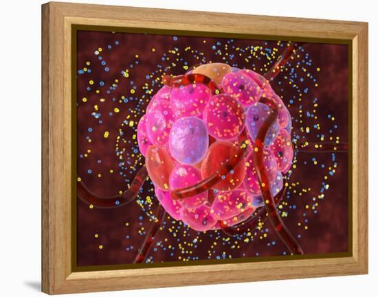 Islets of Langerhans Cells, Artwork-David Mack-Framed Premier Image Canvas