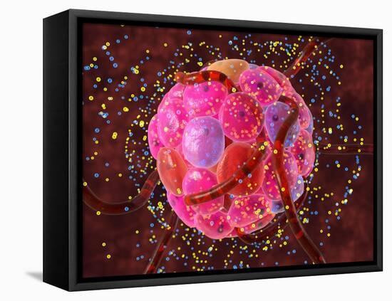 Islets of Langerhans Cells, Artwork-David Mack-Framed Premier Image Canvas