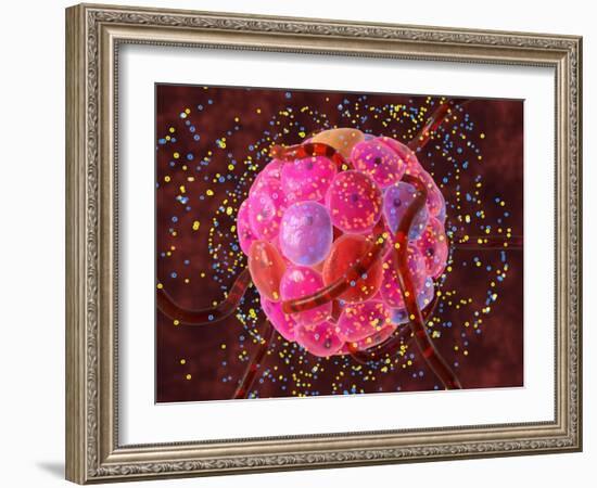 Islets of Langerhans Cells, Artwork-David Mack-Framed Photographic Print