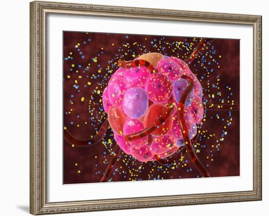 Islets of Langerhans Cells, Artwork-David Mack-Framed Photographic Print