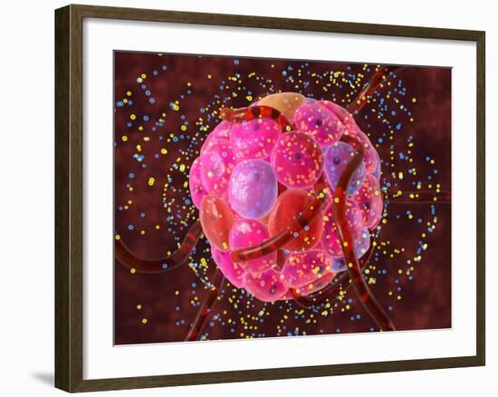 Islets of Langerhans Cells, Artwork-David Mack-Framed Photographic Print