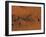 Ismenius Lacus Region of Mars-Stocktrek Images-Framed Photographic Print