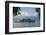 Isola Bella, Borromean Islands, Lake Maggiore, Italian Lakes, Piedmont, Italy, Europe-James Emmerson-Framed Photographic Print