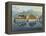 Isola Bella, Lake Maggiore: the Terraced Gardens-Mathias Gabriel Lory-Framed Premier Image Canvas