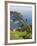 Isola Bella, Mazzaro, Sicily, Italy, Mediterranean, Europe-Martin Child-Framed Photographic Print