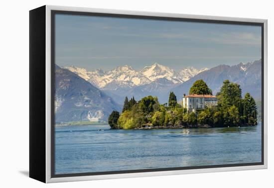 Isola Madre with Snowy Alps Behind, Lake Maggiore, Piedmont, Italy-Stefano Politi Markovina-Framed Premier Image Canvas