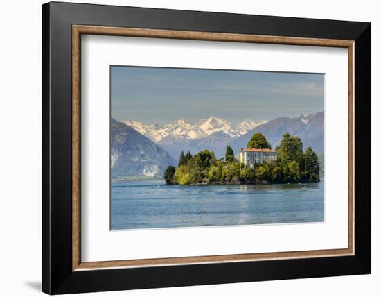 Isola Madre with Snowy Alps Behind, Lake Maggiore, Piedmont, Italy-Stefano Politi Markovina-Framed Photographic Print