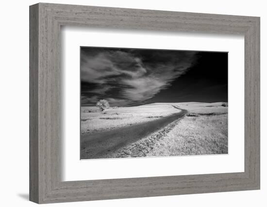 Isolated road in the Kansas Flint Hills-Michael Scheufler-Framed Photographic Print