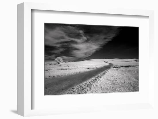 Isolated road in the Kansas Flint Hills-Michael Scheufler-Framed Photographic Print