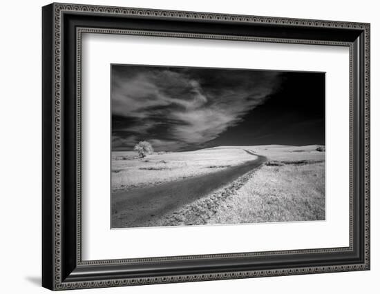 Isolated road in the Kansas Flint Hills-Michael Scheufler-Framed Photographic Print