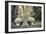 Isolated-Heidi Westum-Framed Premium Photographic Print