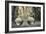 Isolated-Heidi Westum-Framed Photographic Print