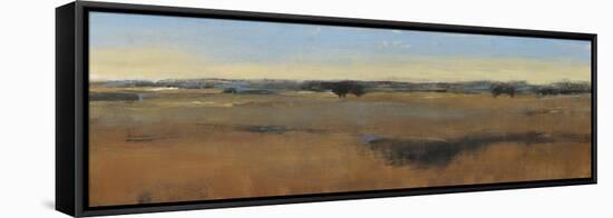 Isolation I-Tim O'toole-Framed Stretched Canvas