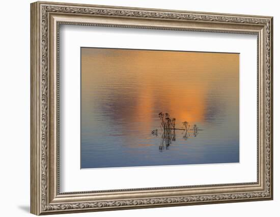 Isolation-Adrian Campfield-Framed Photographic Print