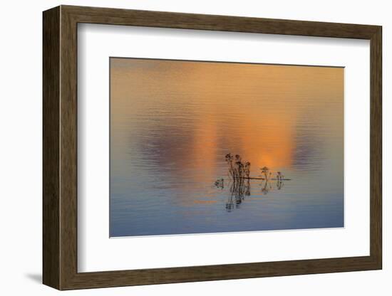 Isolation-Adrian Campfield-Framed Photographic Print