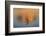 Isolation-Adrian Campfield-Framed Photographic Print