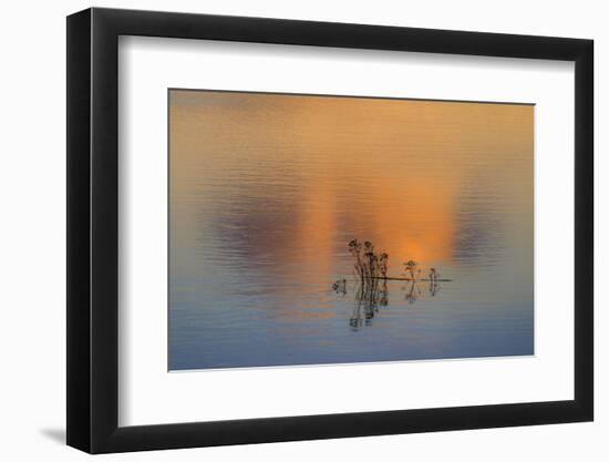 Isolation-Adrian Campfield-Framed Photographic Print
