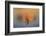 Isolation-Adrian Campfield-Framed Photographic Print