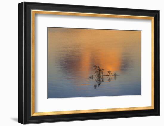 Isolation-Adrian Campfield-Framed Photographic Print